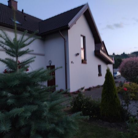 Agroturystyka "U Kasi" Scinawka Gorna Bagian luar foto