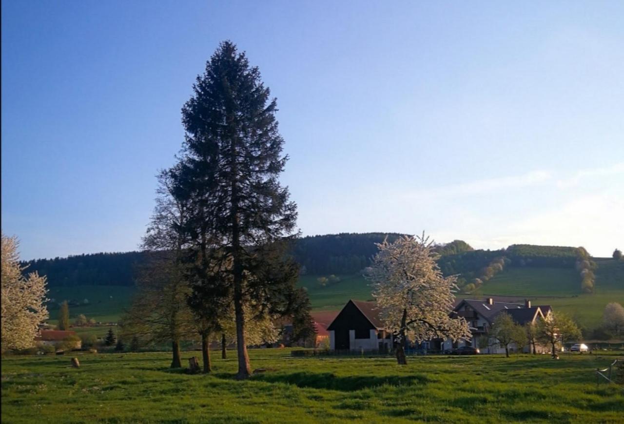 Agroturystyka "U Kasi" Scinawka Gorna Bagian luar foto