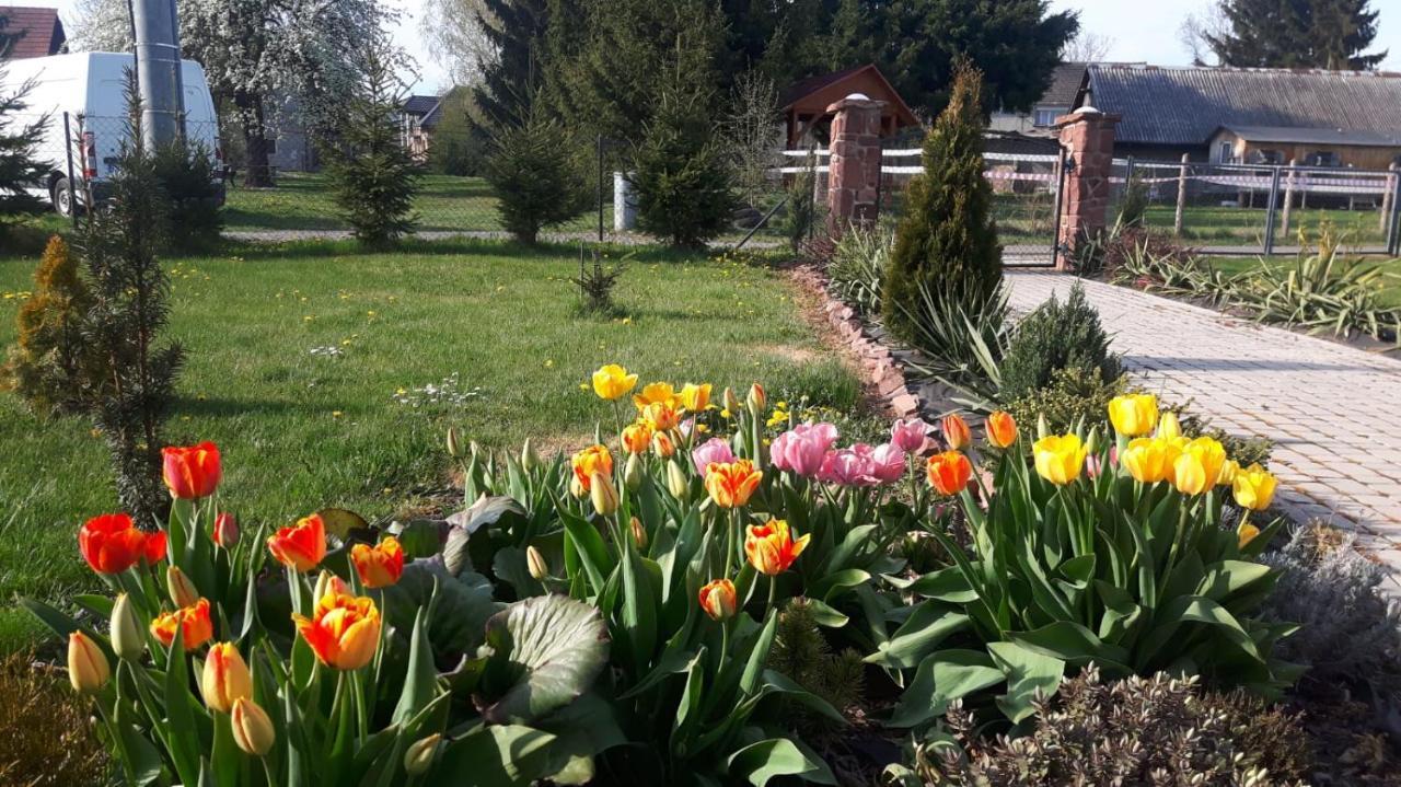 Agroturystyka "U Kasi" Scinawka Gorna Bagian luar foto