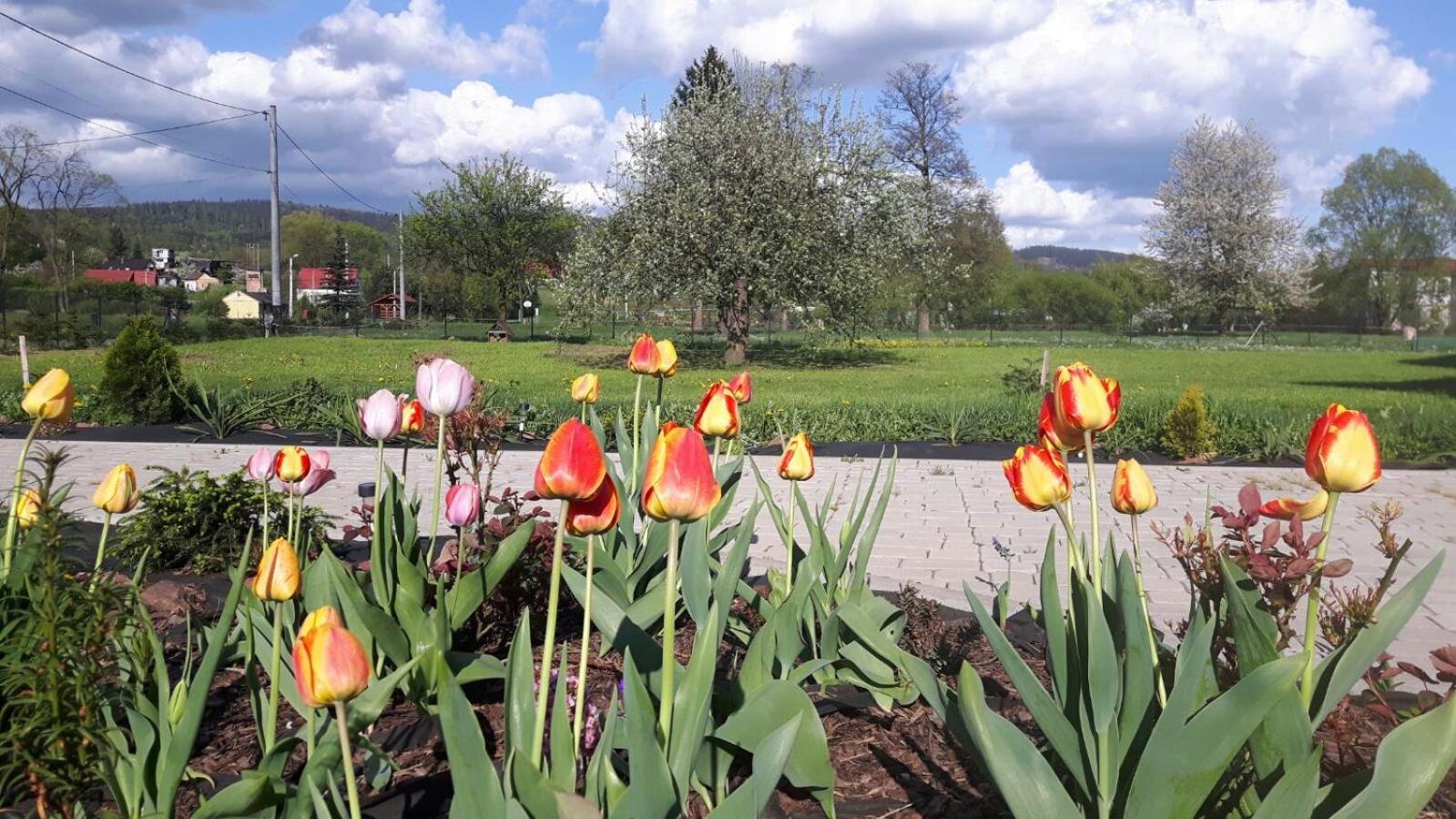 Agroturystyka "U Kasi" Scinawka Gorna Bagian luar foto