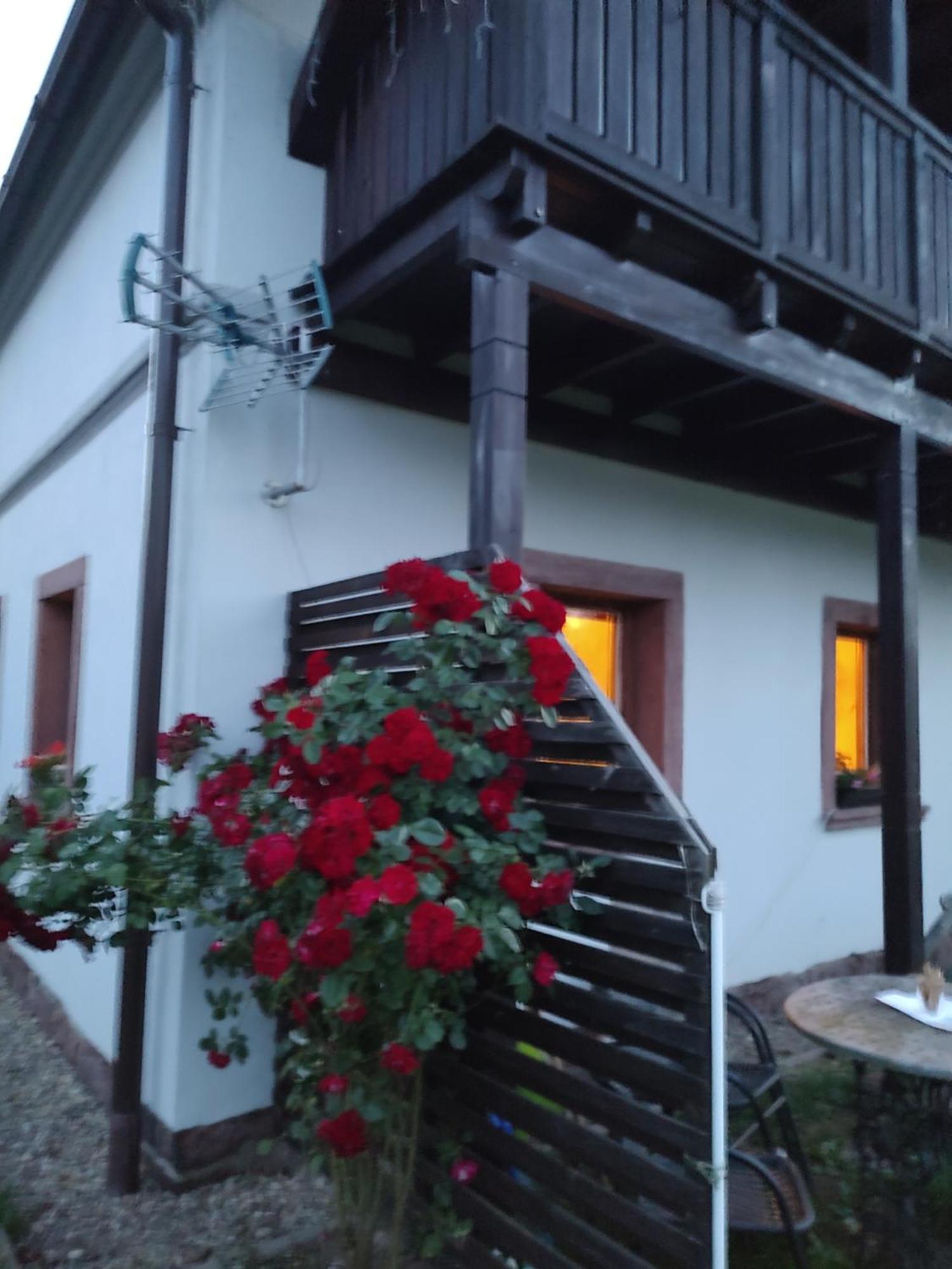 Agroturystyka "U Kasi" Scinawka Gorna Bagian luar foto