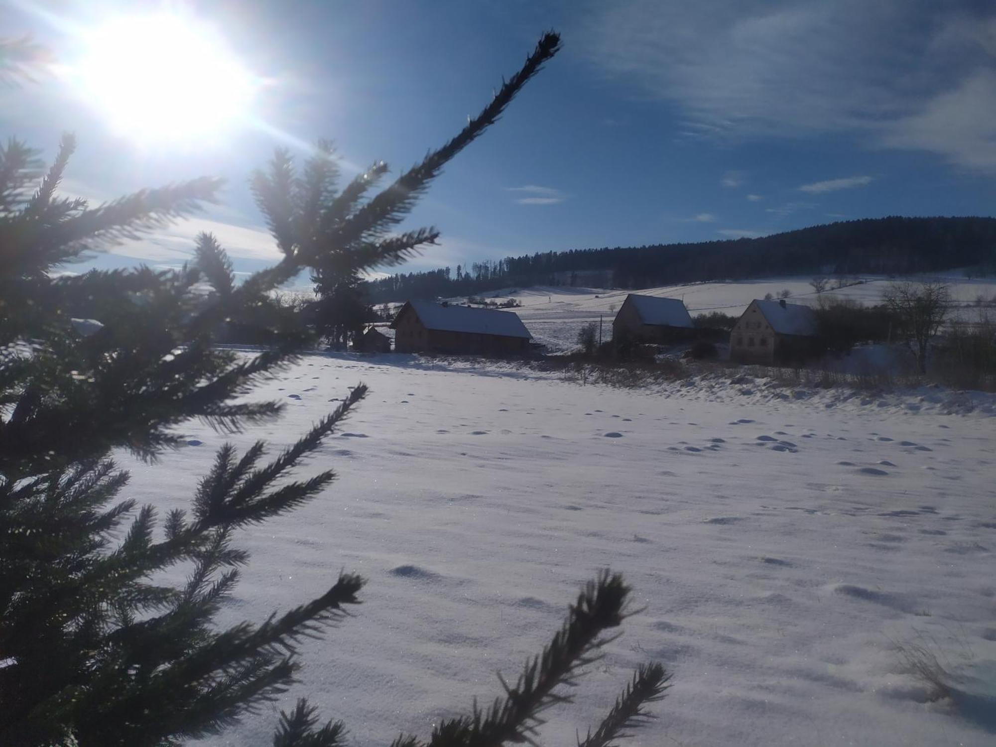 Agroturystyka "U Kasi" Scinawka Gorna Bagian luar foto