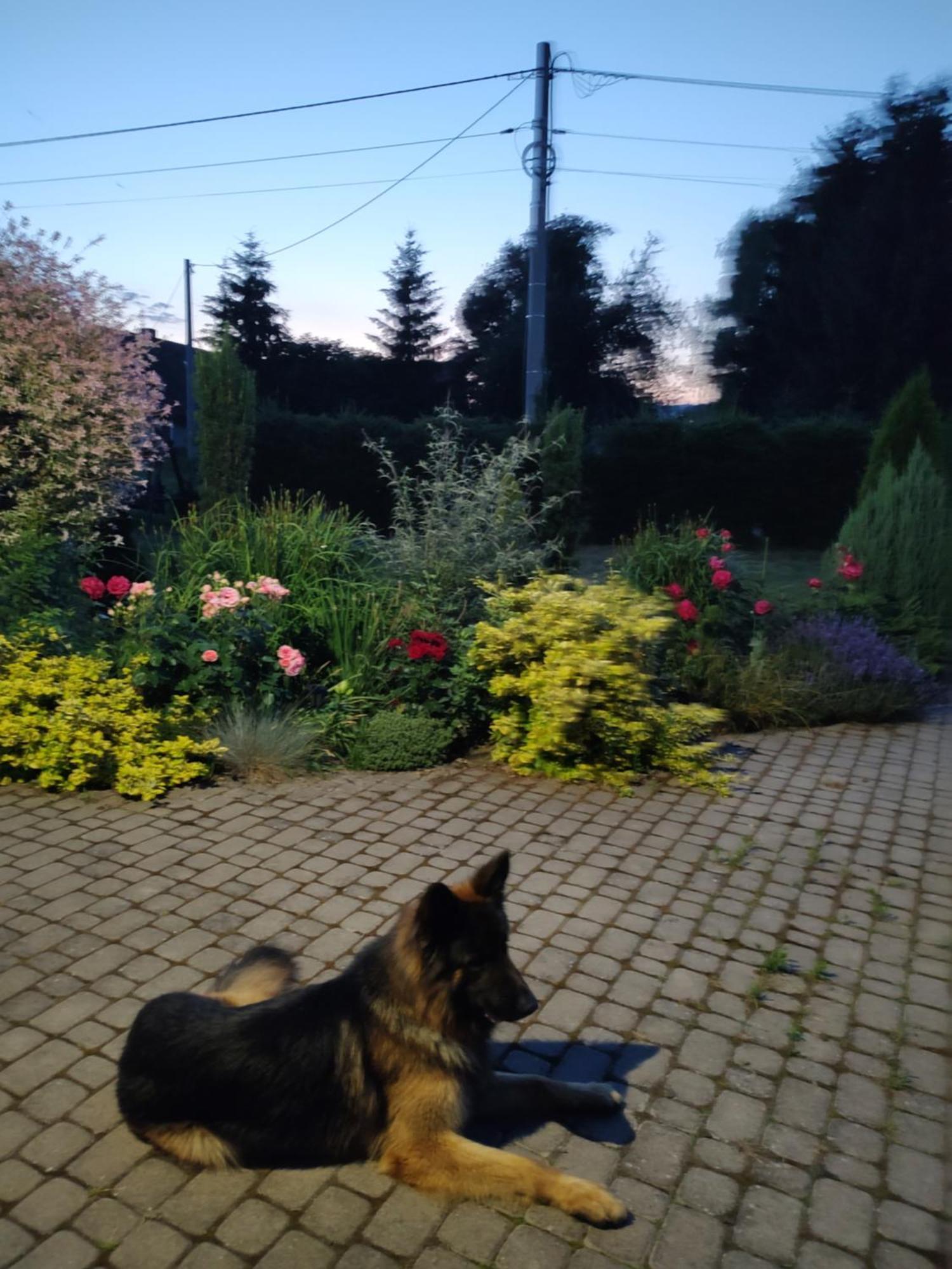 Agroturystyka "U Kasi" Scinawka Gorna Bagian luar foto