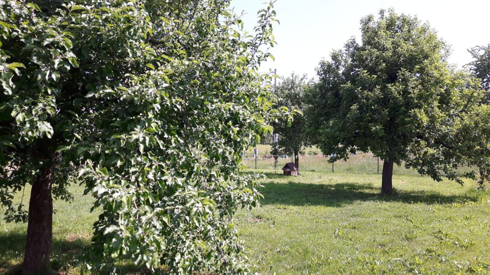 Agroturystyka "U Kasi" Scinawka Gorna Bagian luar foto
