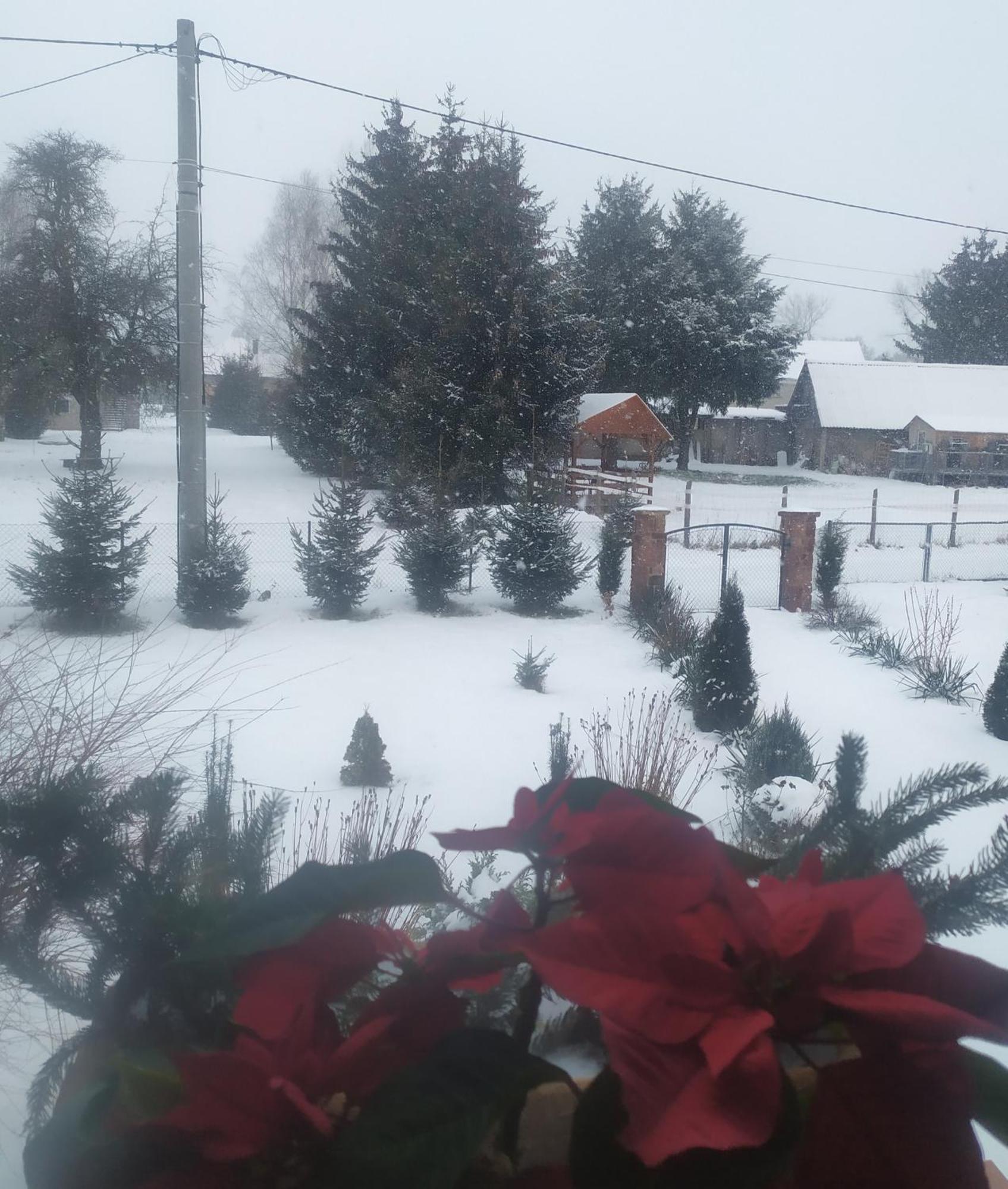 Agroturystyka "U Kasi" Scinawka Gorna Bagian luar foto