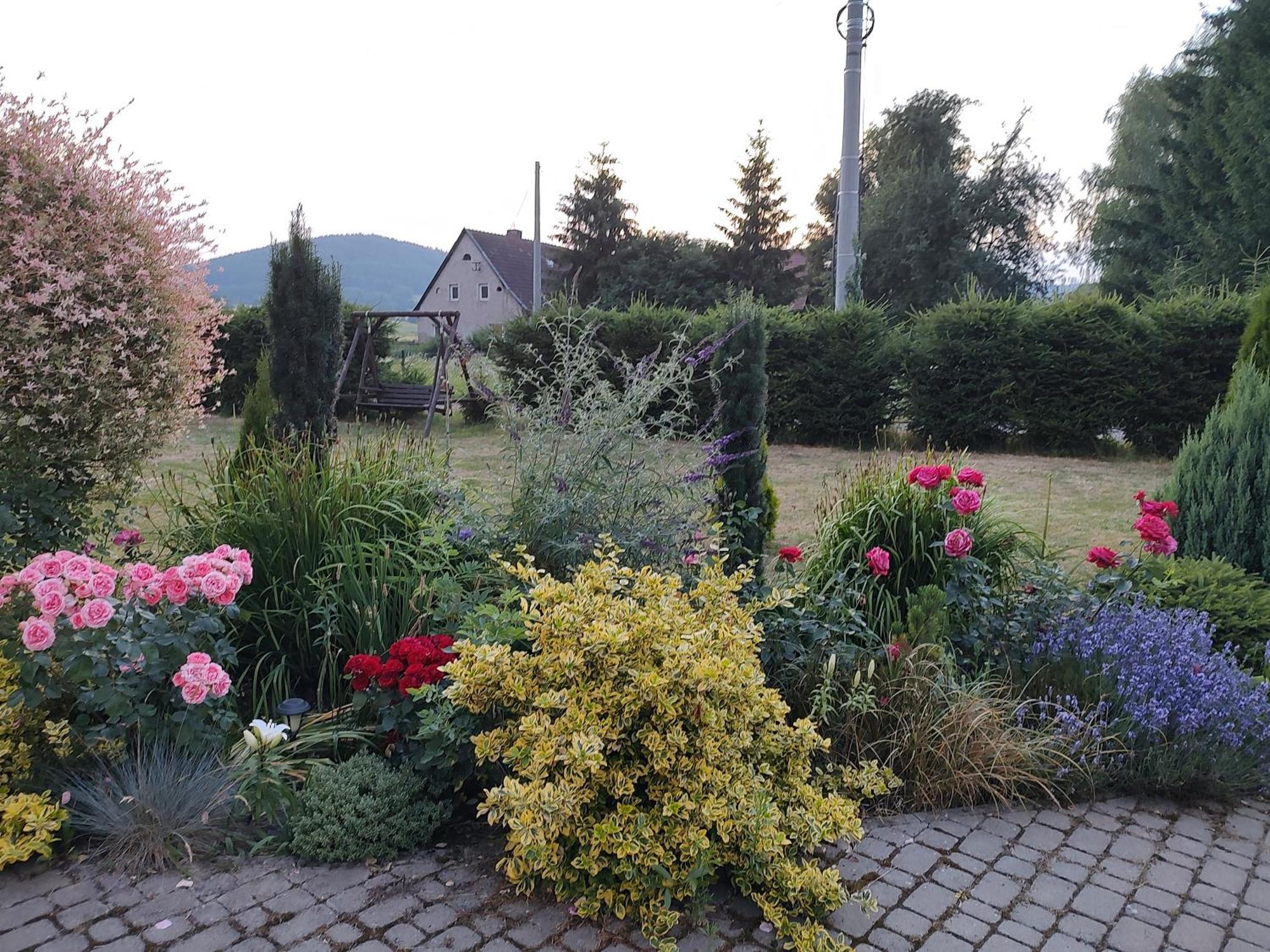 Agroturystyka "U Kasi" Scinawka Gorna Bagian luar foto