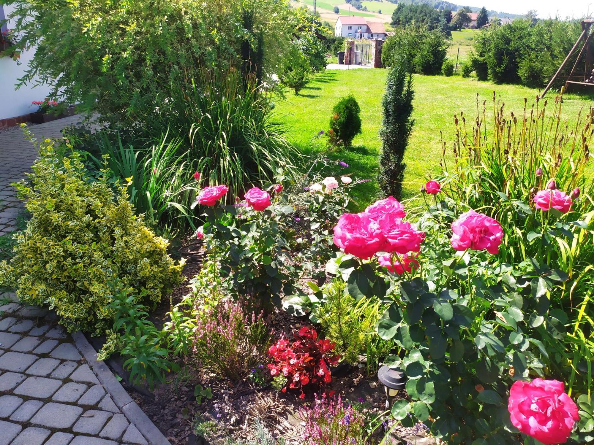 Agroturystyka "U Kasi" Scinawka Gorna Bagian luar foto